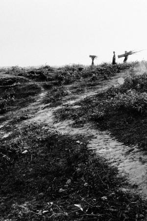 Rohingya