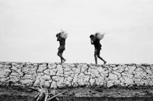 Photo by Greg Constantine